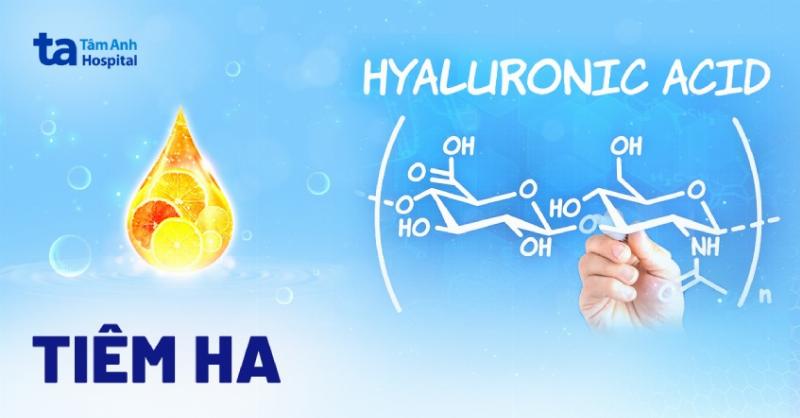 Cơ chế hoạt động và quá trình tan dần của filler Hyaluronic Acid trong cơ thể